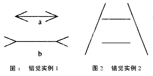 错 觉 实 例